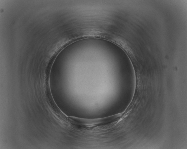 X0000074240346200608251144