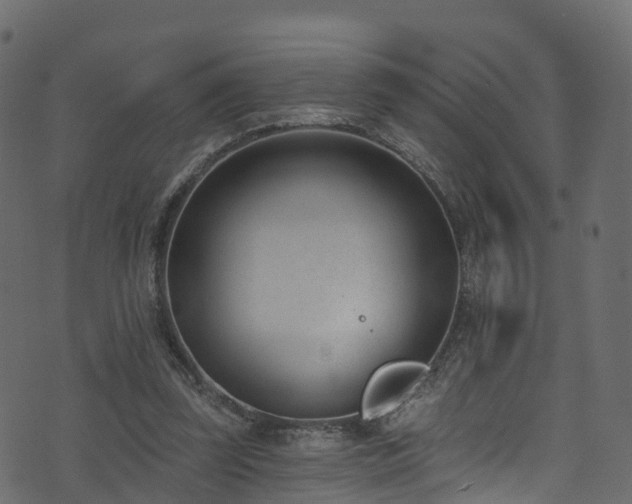 X0000074240347200608251144