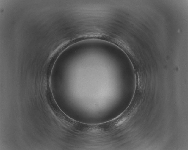 X0000074240348200608251144