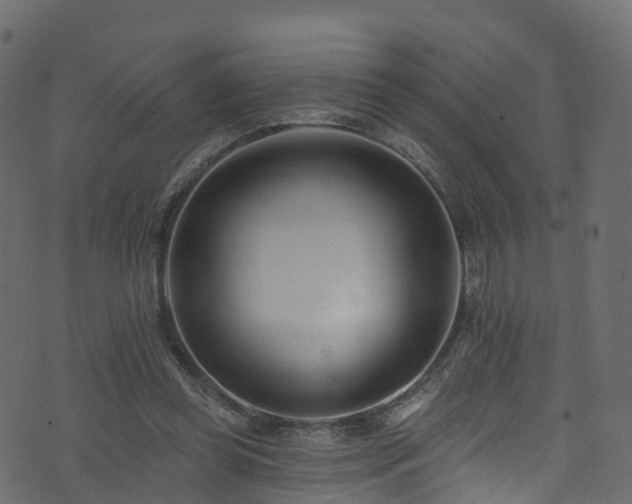 X0000074240349200608251144