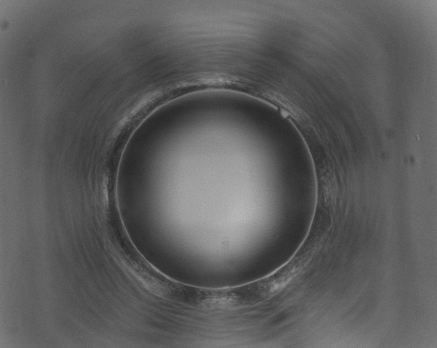 X0000074240350200608251144