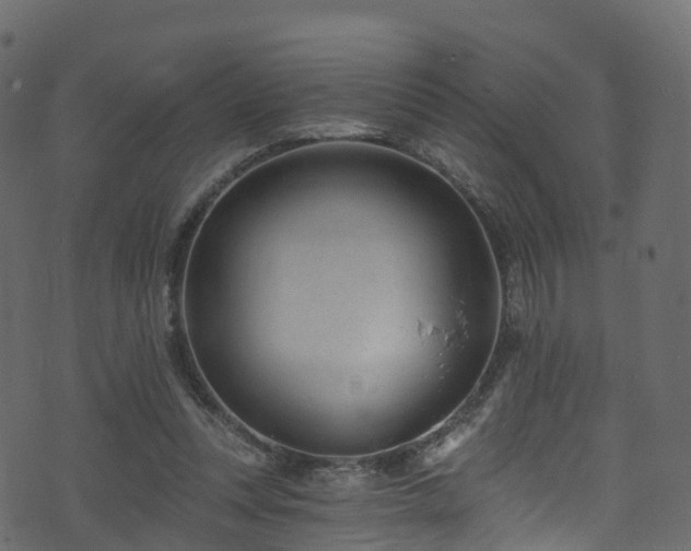 X0000074240351200608251144