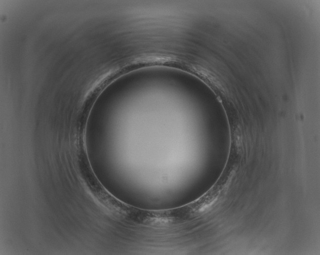 X0000074240352200608251144