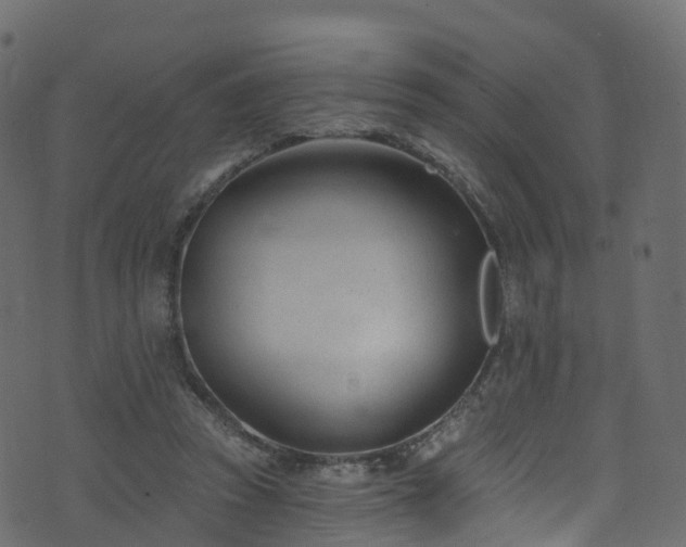 X0000074240353200608251144