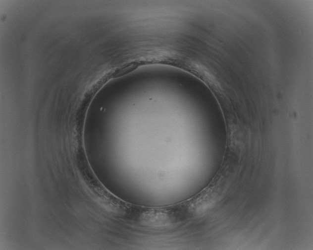 X0000074240354200608251144