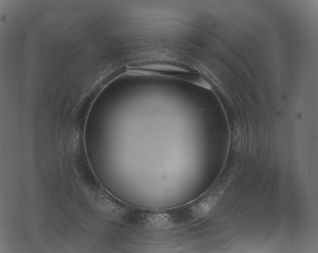 X0000074240355200608251144