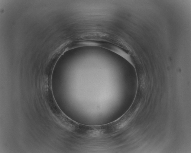 X0000074240356200608251144