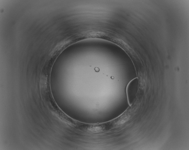 X0000074240357200608251144