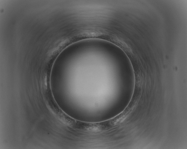 X0000074240358200608251144