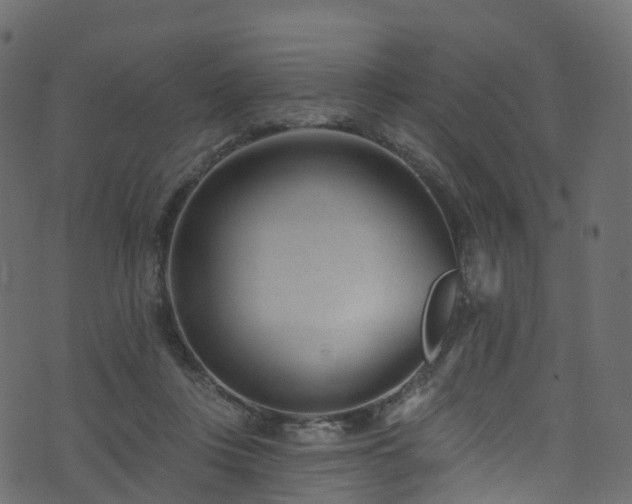 X0000074240359200608251144