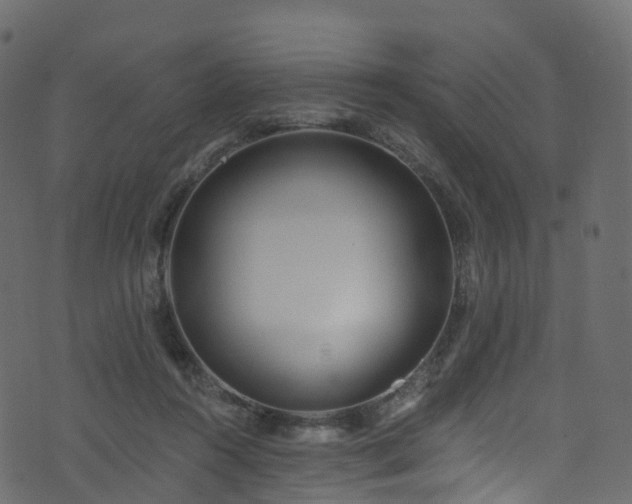 X0000074240360200608251144