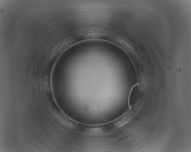 X0000074240361200608251144