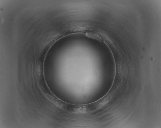 X0000074240362200608251144