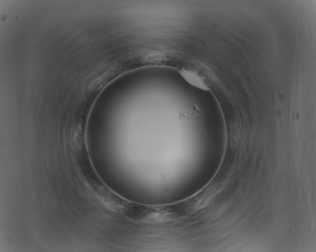 X0000074240364200608251144