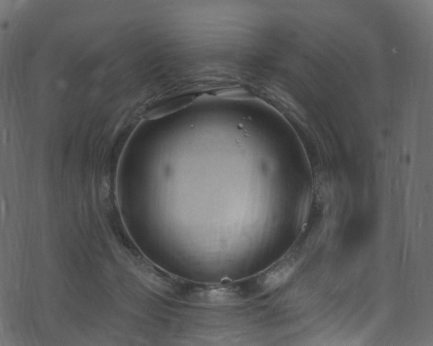 X0000074240365200608251144