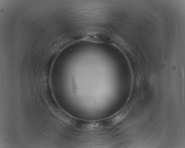 X0000074240366200608251144