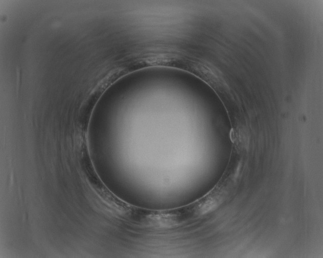 X0000074240367200608251144