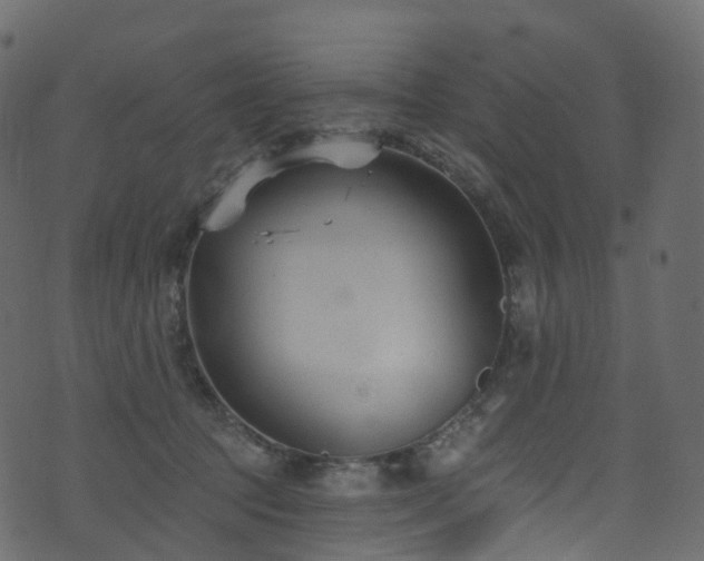 X0000074240369200608251144