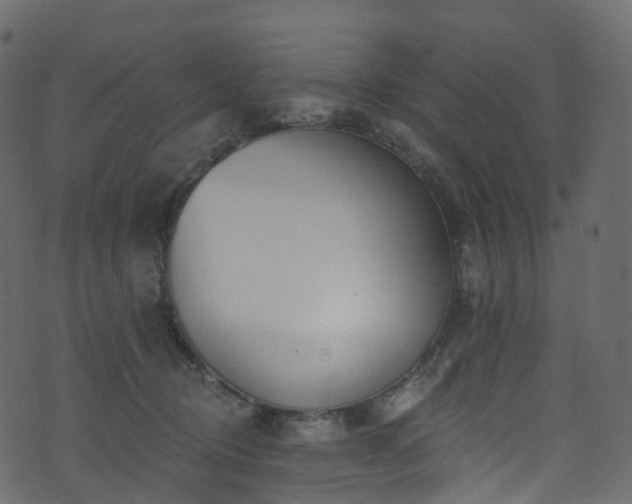 X0000074240370200608251144