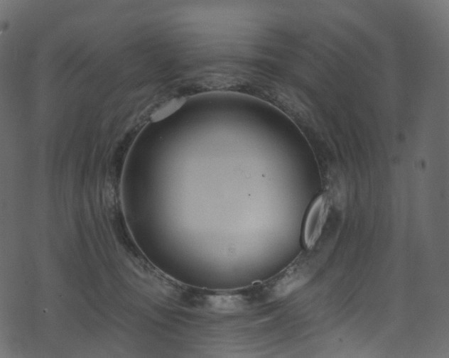 X0000074240371200608251144