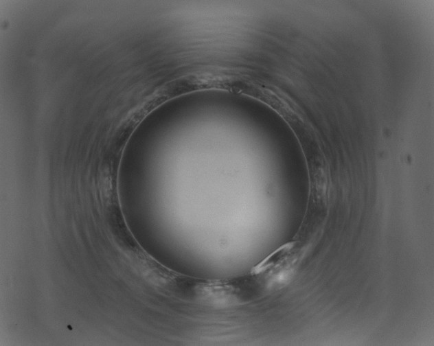 X0000074240372200608251144