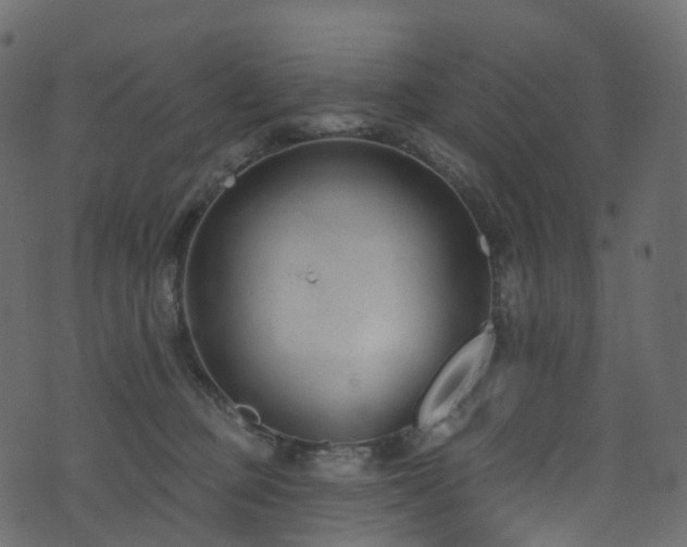 X0000074240373200608251144