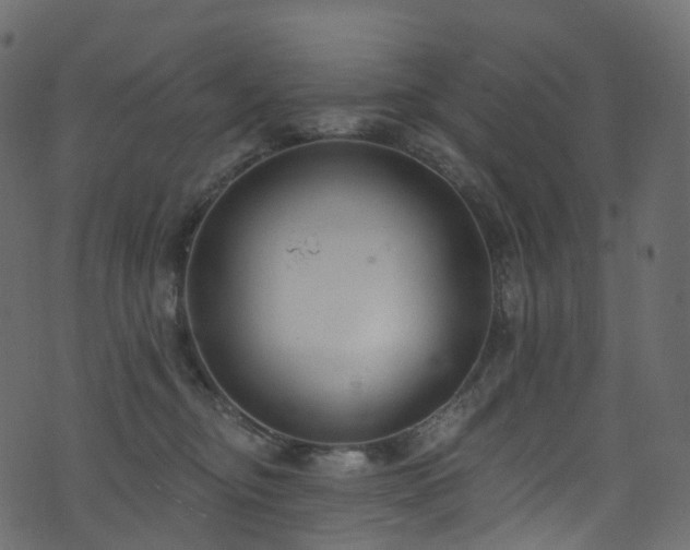 X0000074240374200608251144