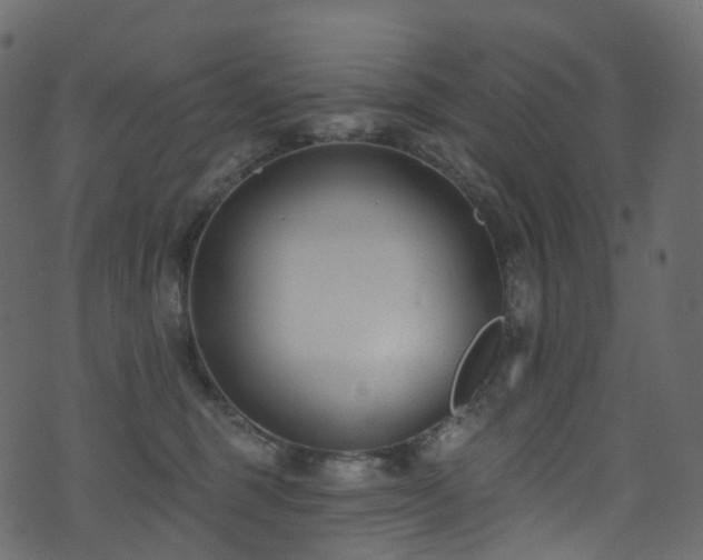 X0000074240375200608251144