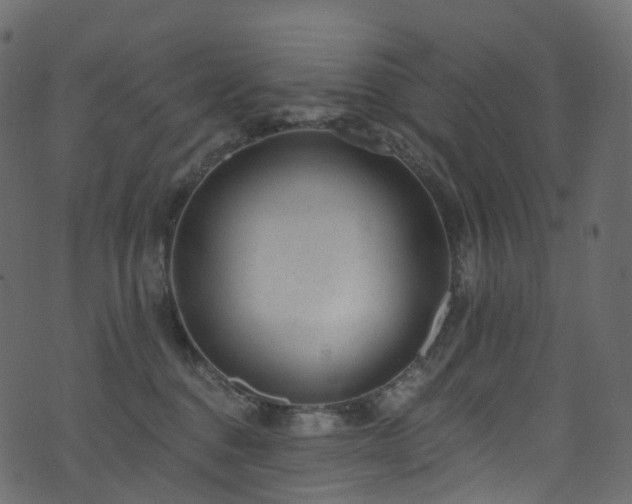 X0000074240376200608251144