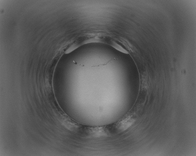 X0000074240377200608251144