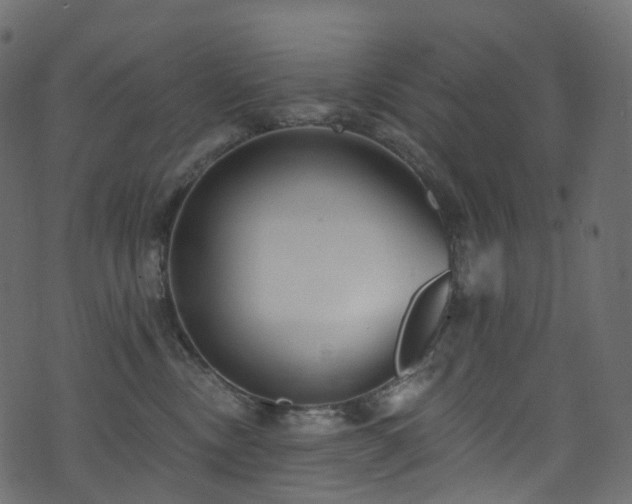 X0000074240378200608251144