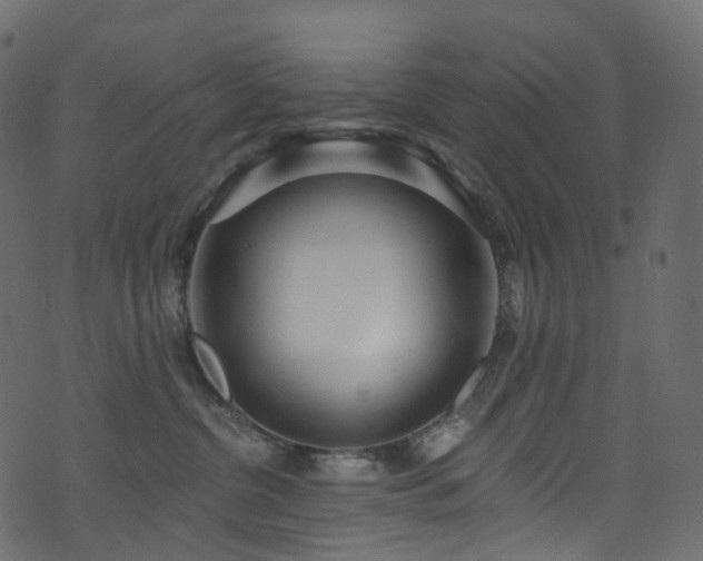 X0000074240380200608251145