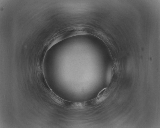 X0000074240381200608251145