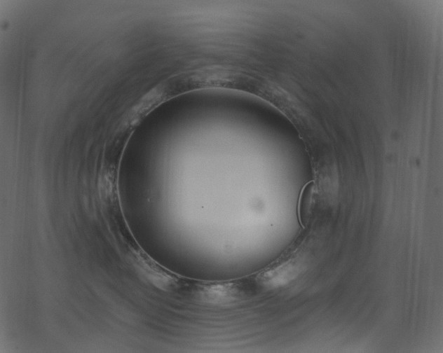 X0000074240382200608251145