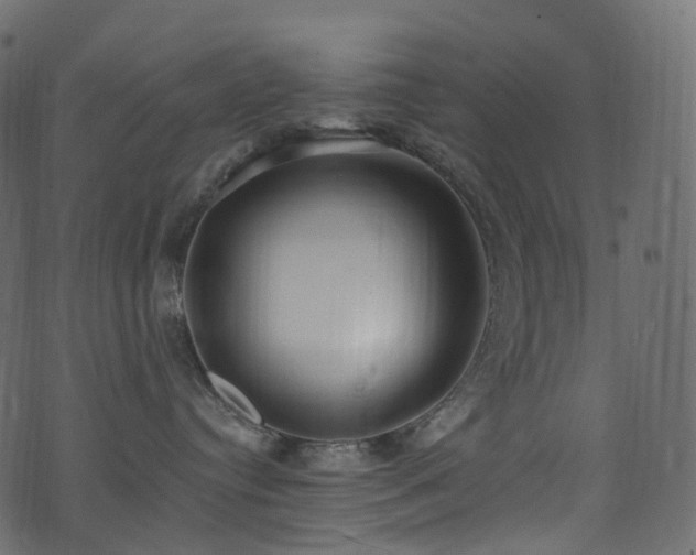 X0000074240384200608251145