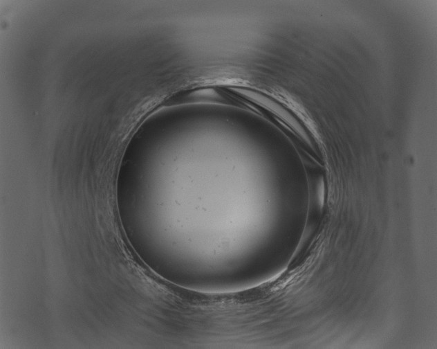 X0000074240385200608251144