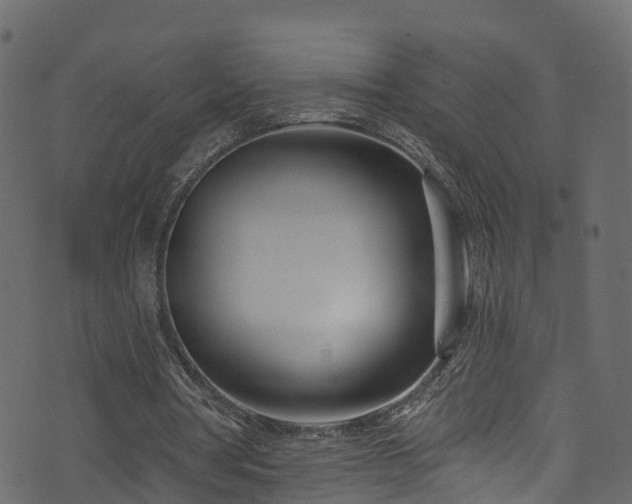 X0000074240386200608251144