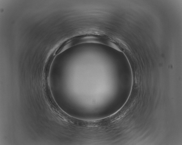 X0000074240388200608251144