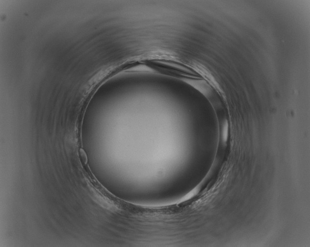 X0000074240389200608251144