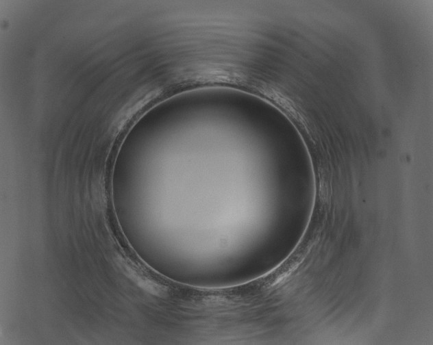 X0000074240390200608251144