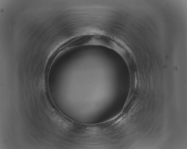 X0000074240391200608251144