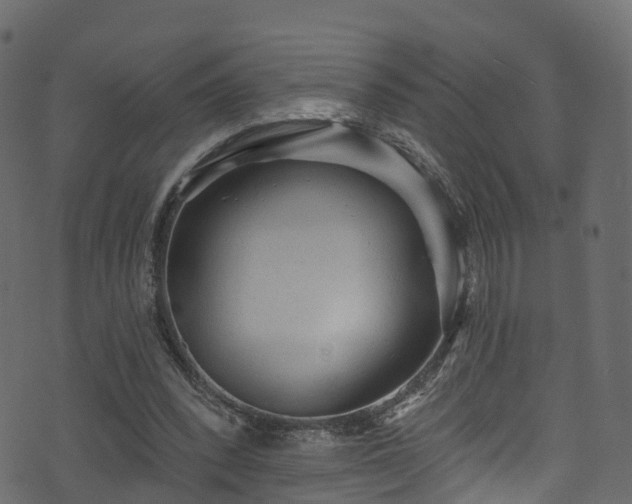 X0000074240392200608251144