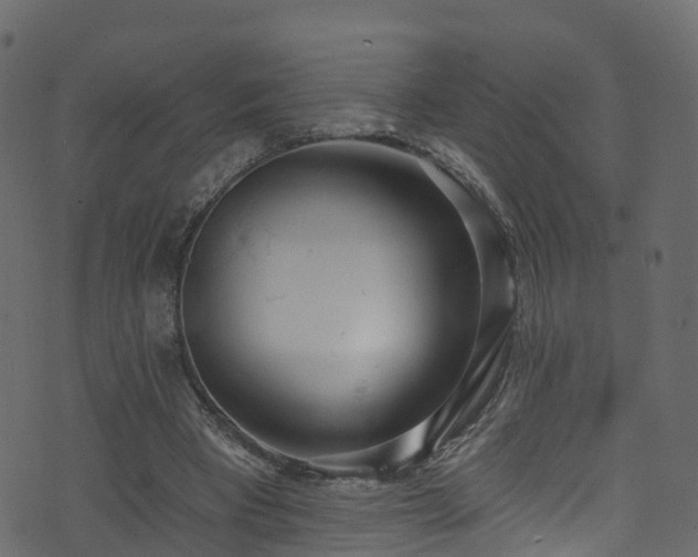 X0000074240393200608251144