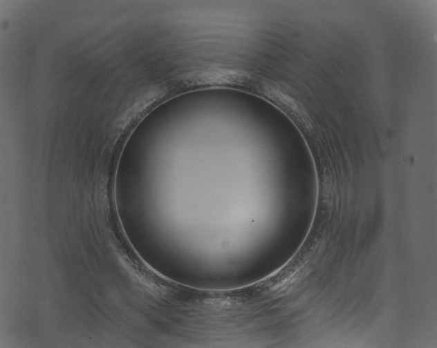 X0000074240394200608251144