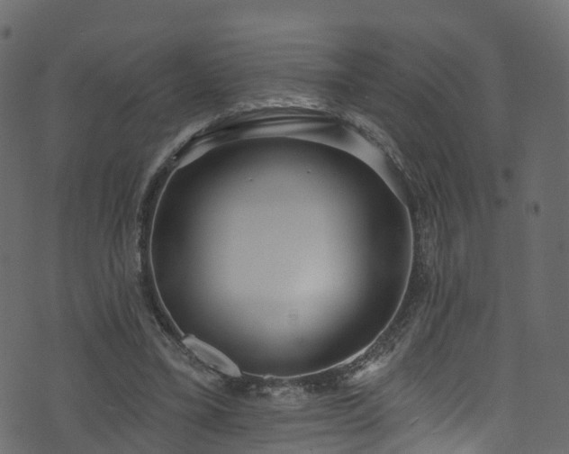 X0000074240395200608251144