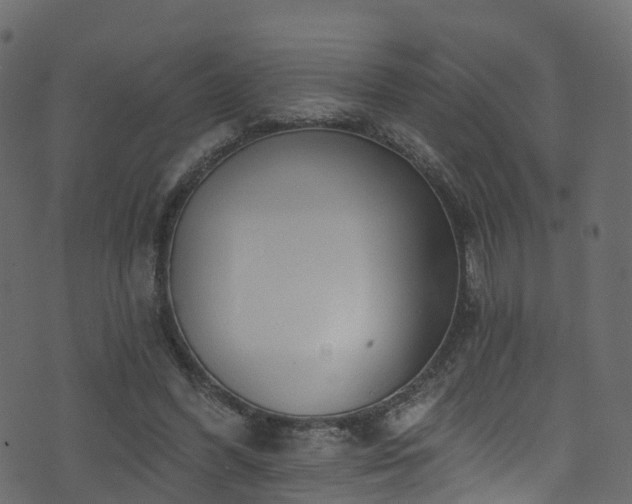 X0000074240396200608251144