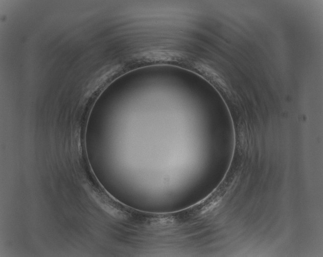 X0000074240398200608251144