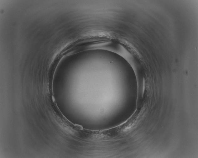 X0000074240399200608251144