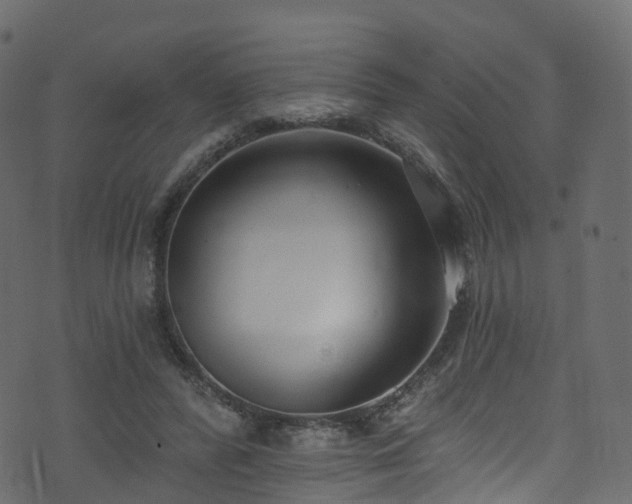 X0000074240400200608251144