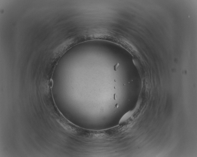 X0000074240401200608251144